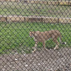 Leonard Park - Gainesville