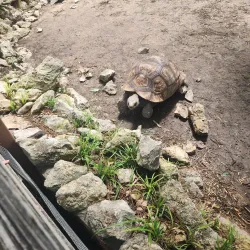 Leonard Park - Gainesville