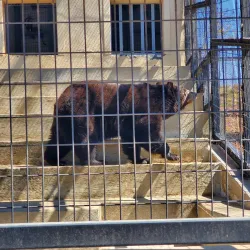 Leonard Park - Gainesville