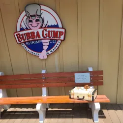 Galveston Island Historic Pleasure Pier - Galveston