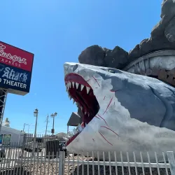 Galveston Island Historic Pleasure Pier - Galveston