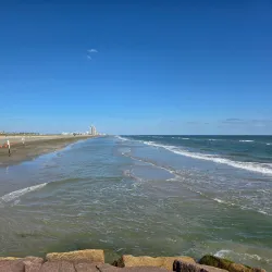 Galveston Seawall - Galveston