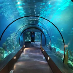 Moody Gardens - Galveston