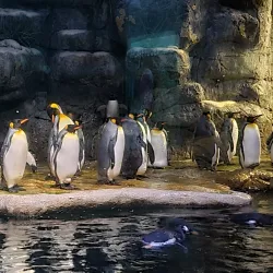 Moody Gardens - Galveston