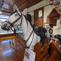 The Bryan Museum - Galveston