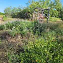 Acton Nature Center - Granbury
