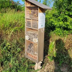 Acton Nature Center - Granbury