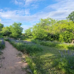 Acton Nature Center - Granbury