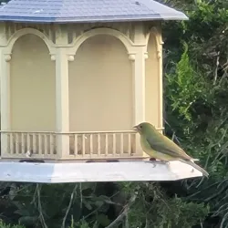 Acton Nature Center - Granbury