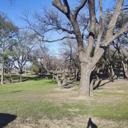 Granbury City Park - Granbury