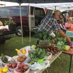 Granbury Farmers Market - Granbury