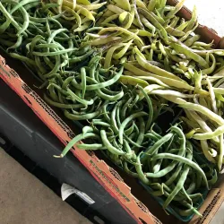 Granbury Farmers Market - Granbury