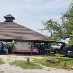 Granbury Farmers Market - Granbury