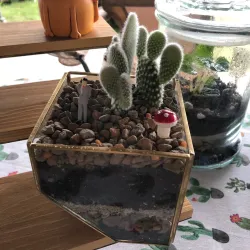 Granbury Farmers Market - Granbury