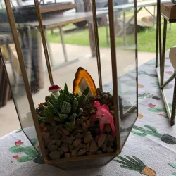 Granbury Farmers Market - Granbury