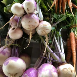 Granbury Farmers Market - Granbury