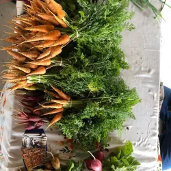 Granbury Farmers Market - Granbury