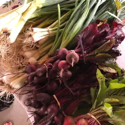 Granbury Farmers Market - Granbury