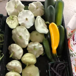 Granbury Farmers Market - Granbury