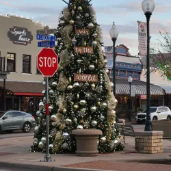 Granbury Ghost Tour - Granbury