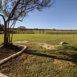 The Vineyard at Florence - Granbury