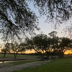 The Vineyard at Florence - Granbury