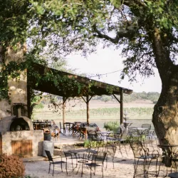 The Vineyard at Florence - Granbury