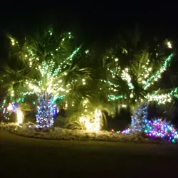 Harlingen Country Club - Harlingen