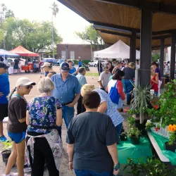 Harlingen Farmers Market - Harlingen