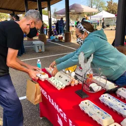 Harlingen Farmers Market - Harlingen