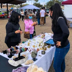 Harlingen Farmers Market - Harlingen
