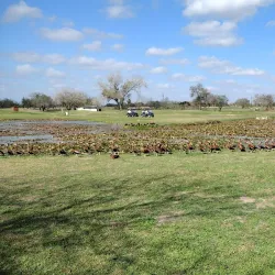 Harlingen Municipal Golf Course - Harlingen