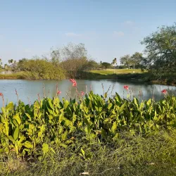 Harlingen Municipal Golf Course - Harlingen