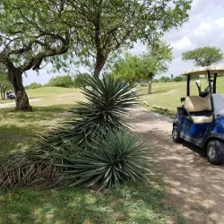 Harlingen Municipal Golf Course - Harlingen