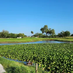 Harlingen Municipal Golf Course - Harlingen