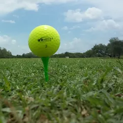 Harlingen Municipal Golf Course - Harlingen