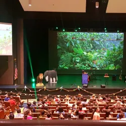 Harlingen Performing Arts Theatre - Harlingen