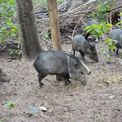 Hugh Ramsey Nature Park - Harlingen