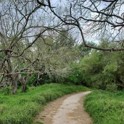 Hugh Ramsey Nature Park - Harlingen