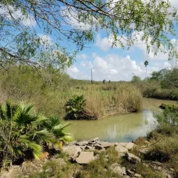 Hugh Ramsey Nature Park - Harlingen