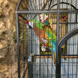 Valley Nature Center - Harlingen