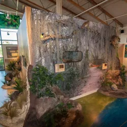 Valley Nature Center - Harlingen