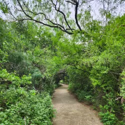 Valley Nature Center - Harlingen