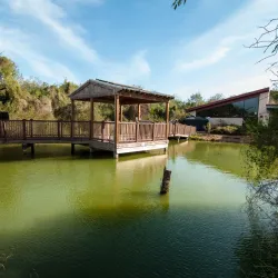 Valley Nature Center - Harlingen