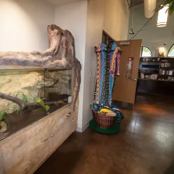 Valley Nature Center - Harlingen