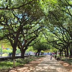 Discovery Green - Houston