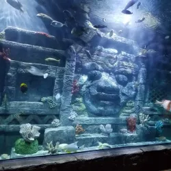 Downtown Aquarium - Houston