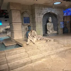 Downtown Aquarium - Houston