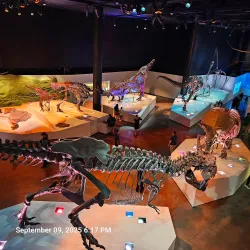 Houston Museum of Natural Science - Houston