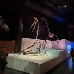 Houston Museum of Natural Science - Houston